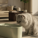 Eine flauschige weiß-graue Langhaarkatze sitzt auf einem beigen Boden neben einem hellgrünen Keramik-Trinkbrunnen für Katzen in einem warmbeleuchteten Wohnzimmer mit einem cremefarbenen Sofa und einem Holzcouchtisch im Hintergrund.