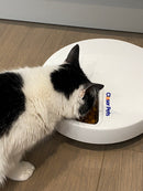 Closer Pets Automatischer Futterautomat für fünf Mahlzeiten mit Edelstahlnapfeinsätzen (C500)