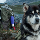 Dog Mate 800ml Isolierte Edelstahl-Wasserflasche