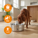 Ein Irish Setter trinkt Wasser aus einem Dog Mate Edelstahl‑Trinkbrunnen mit 8‑Liter Fassungsvermögen, der auf einem Holzboden in einer hellen, modernen Küche steht. Der Brunnen besitzt eine kleine zentrale Wasserpumpe, die einen Wasserstrahl erzeugt, aus dem der Hund trinkt. Im Hintergrund befinden sich weiße Küchenmöbel, grüne Topfpflanzen auf der Fensterbank, große Fenster mit Tageslicht, ein heller Teppich, ein leerer Keramiknapf und eine Kücheninsel aus Holz.