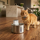 Ein orangefarbener getigerter Kater mit einem blauen Halsband steht auf einem Holzboden neben einem Cat Mate‑Edelstahl‑Wasserbrunnen mit einem Fassungsvermögen von 2,2 Litern, in einer modernen Küche mit einer Marmorinsel, einem Esstisch und Pflanzen im Hintergrund.